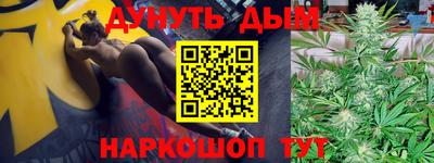сатива Коммунар