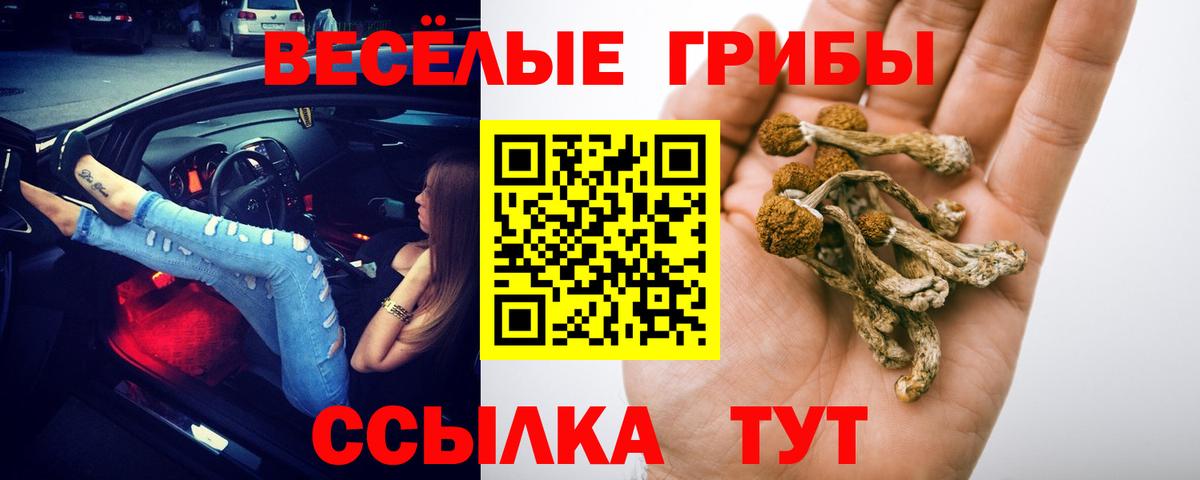 Псилоцибиновые грибы прущие грибы  Вход с VPN  что такое наркотик  Кимры 